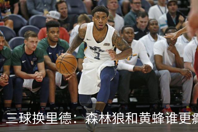 三球换里德：森林狼和黄蜂谁更癫？！
