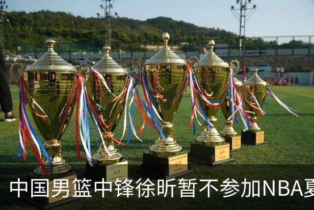 中国男篮中锋徐昕暂不参加NBA夏季联赛