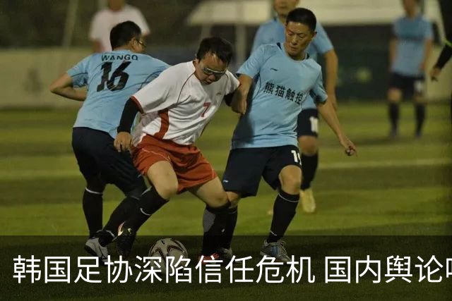 韩国足协深陷信任危机 国内舆论呼吁足协改革